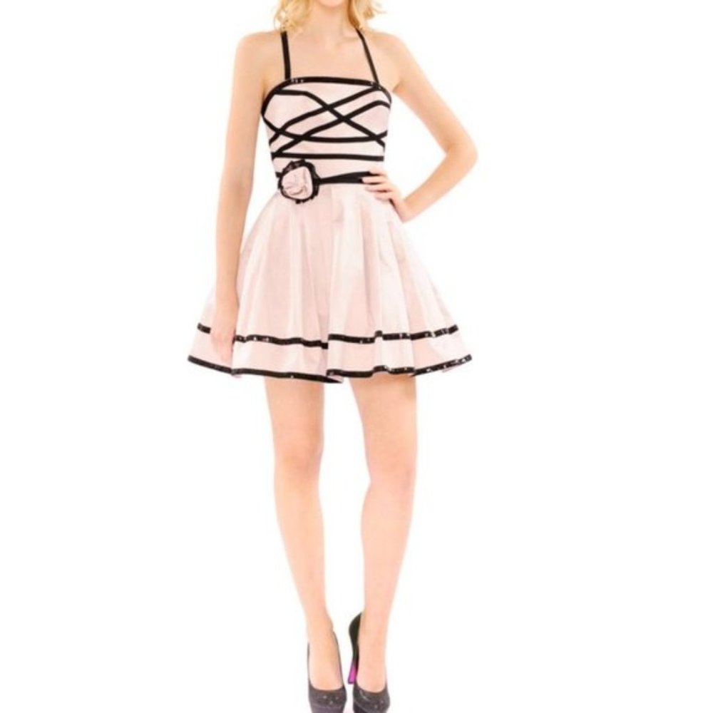 Betsey Johnson Dresden Doll Rose Dress Size 0
